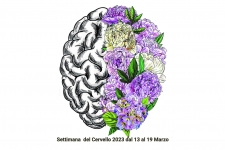 Settimana del cervello 2023: i fattori di rischio della malattia di Alzheimer