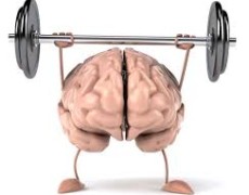 Brain in Italy: la “due giorni del cervello”