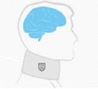Anti ictus e infarti: Arriva il collare che raffredda il cervello!