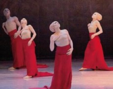 Vita affettiva e sessualità nelle persone colpite da gravi cerebrolesioni