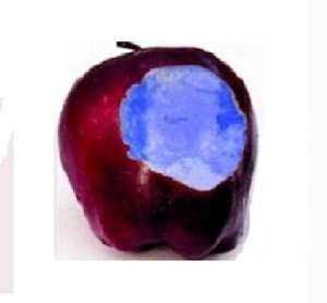 ausili cognitivi
