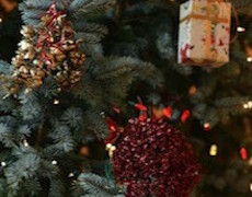Buon Natale e un Sereno Anno Nuovo