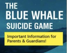 Cos’è “Blue Whale”?