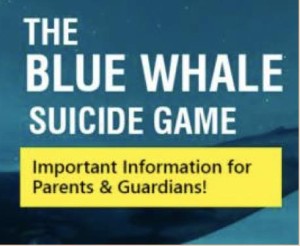 Blue Whale