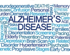 Dalle parole ai fatti! A Pedrengo 50 valutazioni gratuite per la prevenzione dell’Alzheimer