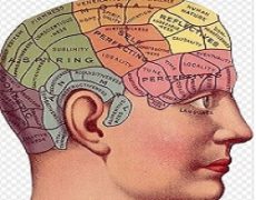 Alzheimer: cosa sono i farmaci sperimentali? Ma quello che serve è prevenzione e allenamento