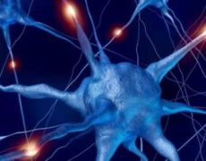 Alzheimer: la ricerca continua