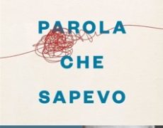 Ogni parola che sapevo di Andrea Vianello: una storia post ictus