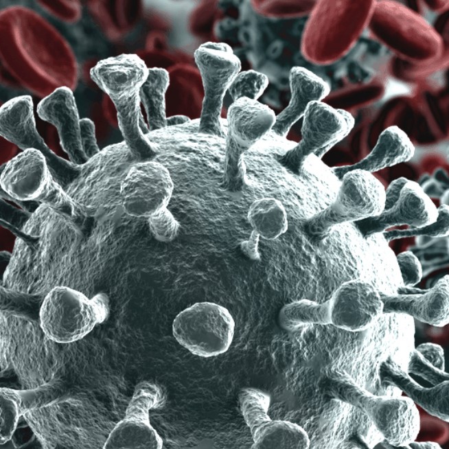 Covid-19, malattie neurologiche costituiscono fattore di rischio.