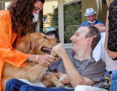 Pet therapy e cerebrolesioni acquisite: una sperimentazione che entusiasma.