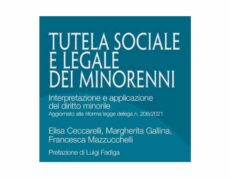 La riforma del sistema di giustizia minorile