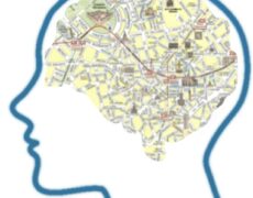 Ictus e la solitudine del ritorno a casa. “Senza una preparazione adeguata, il peso sulle famiglie è dirompente”