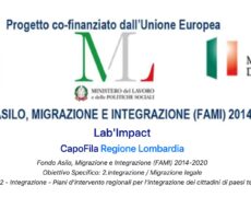 Progetto Lab’Impact: disponibili i materiali e prodotti editoriali realizzati