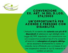 Convenzione EX. ART. 14 del D.Lgs. 276/2003: un’opportunità per aziende e persone con disabilità
